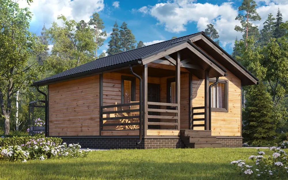 Нега 1 6.0 x 6.8